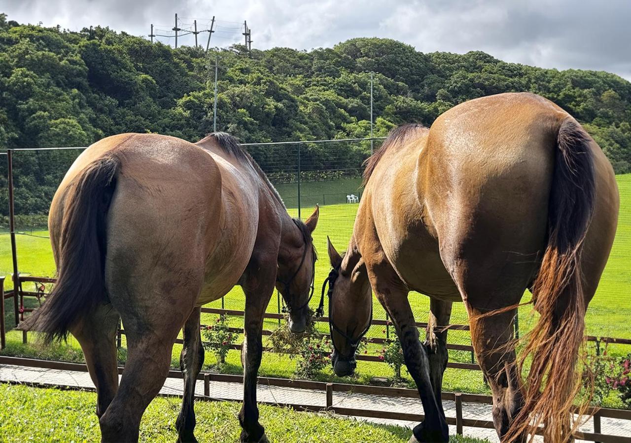 Costao Do Santinho Resort All Inclusive Florianópolis Eksteriør billede The rear quarters of two horses